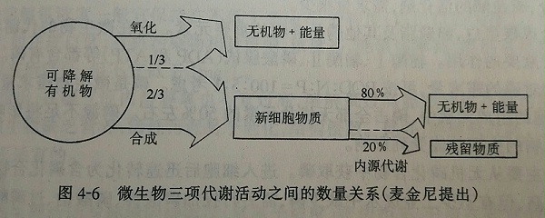 微生物代谢活动数量图